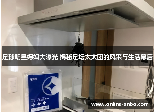 足球明星媳妇大曝光 揭秘足坛太太团的风采与生活幕后