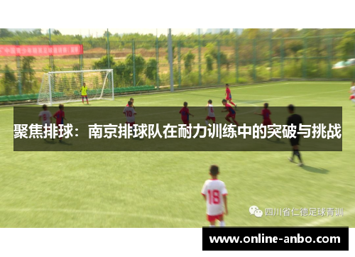 聚焦排球：南京排球队在耐力训练中的突破与挑战