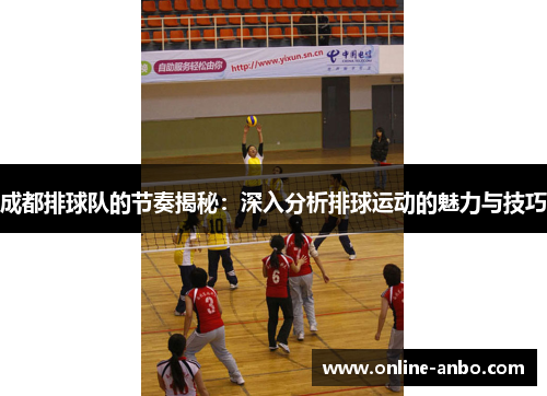 成都排球队的节奏揭秘：深入分析排球运动的魅力与技巧